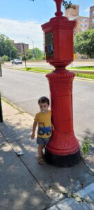 שליחות הוראה מורה בניו יורק