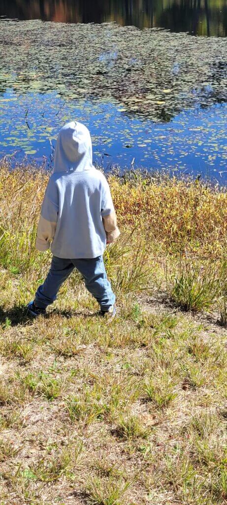 שליחות הוראה