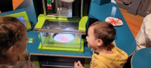 שליחות הוראה