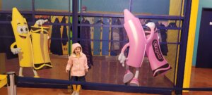 שליחות הוראה