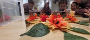 שליחות הוראה הבנת הנקרא ניו יורק