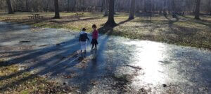 שליחות הוראה הבנת הנקרא ניו יורק