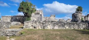 שליחות הוראה הבנת הנקרא ניו יורק