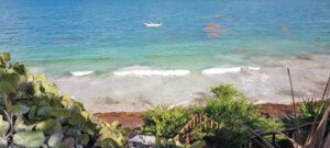 שליחות הוראה הבנת הנקרא ניו יורק