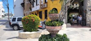 שליחות הוראה הבנת הנקרא ניו יורק