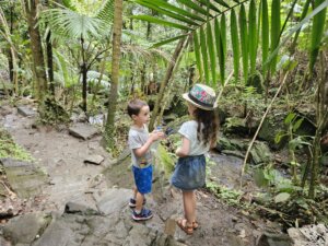 שליחות הוראה
