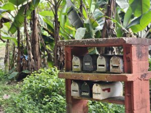 שליחות הוראה