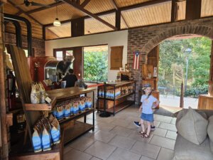 שליחות הוראה