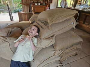 שליחות הוראה