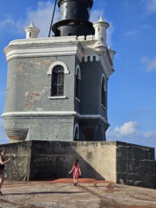 שליחות הוראה