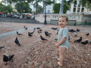 שליחות הוראה