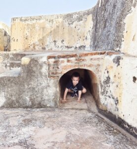 שליחות הוראה